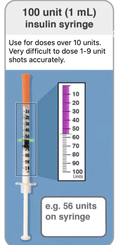 100 unit 1 mL insulin syringe reference